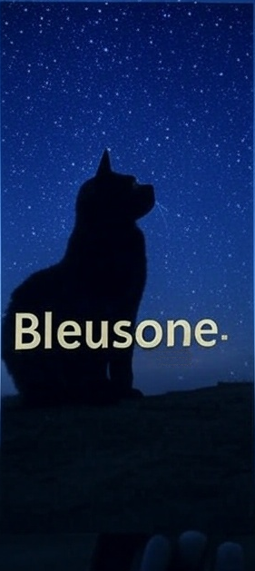 Bleusone Black Cat Logo
